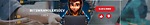 BitswranglersDev