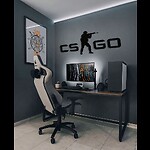 CS-GO