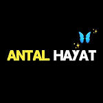 antal.hayat34