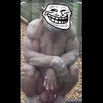 KangsBigBalls