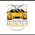 Barnes Auto Detailing