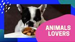 Animals lovers videos