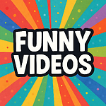Daily Funny Videos