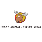 Funny Animals Viral Videos