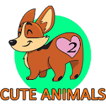 Funny Animals Videos