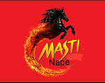Masti Time