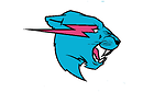 MrBeast011