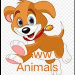 AwwAnimalsshorts