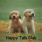 Happy Tails Club