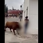 Solo corridas de toro