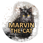 MARVIN THE CAT