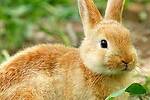 Wildlife Wonders 360