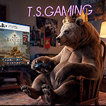 T.S. Gaming