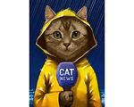 CatNewsTV