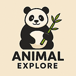 Animal Explore