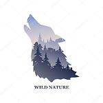 Nature & Wild