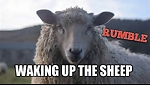 WAKINGUPTHESHEEP