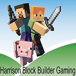 HarrisonBlockBuilderGaming