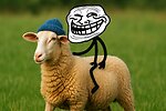 Funny Animal Videos
