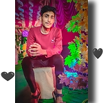 Dailylifevdo