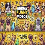 Animal Funny Videos