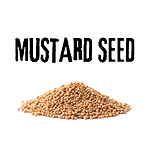 Mustard Seed Podcast with Joseph Massa