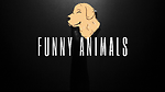 Funny Animals