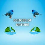 Echoes of Nature