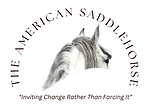 The American Saddlehorse