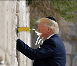TrumpSuxJewCockDaily