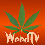 Weed TV