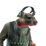 NA's Worst Rat in Tarkov