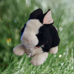Bunny Wunny Obi
