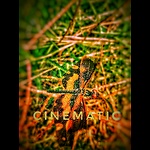 Gaming channel