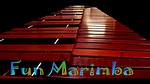 Marimba Fundamentals for beginners.