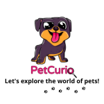 PetCurio