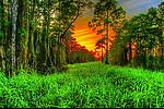 Natural View & Relaxa Music