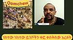 Qomchew ቆምጬው