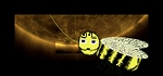 The Virtual Bee