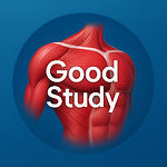 @GoodStudy