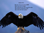 Eagles Soaring High! Ch.1 & Eagles Soaring High! Ch. 2