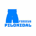 Fidicus Pilonidal