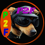 Pets2Fun,we provide always funny pets,Dog,cat puppies video