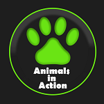 Animals in Action