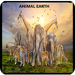 Animals World