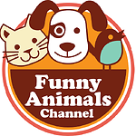 Funny Animals Channel