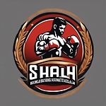 Shah Boxing Association