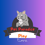 Pet channel