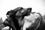 ShelterDogs-111