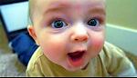 funny videos